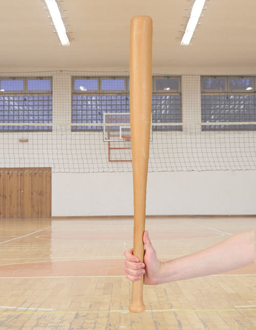 Adult Baseball Bat Adult Baseball Bat